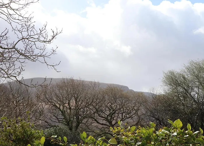 Rowantree